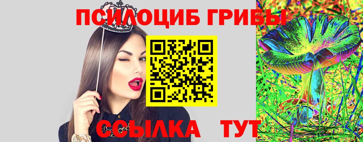 Псилоцибиновые грибы мицелий  Вход с VPN  Новороссийск 